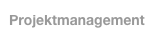 Projektmanagement